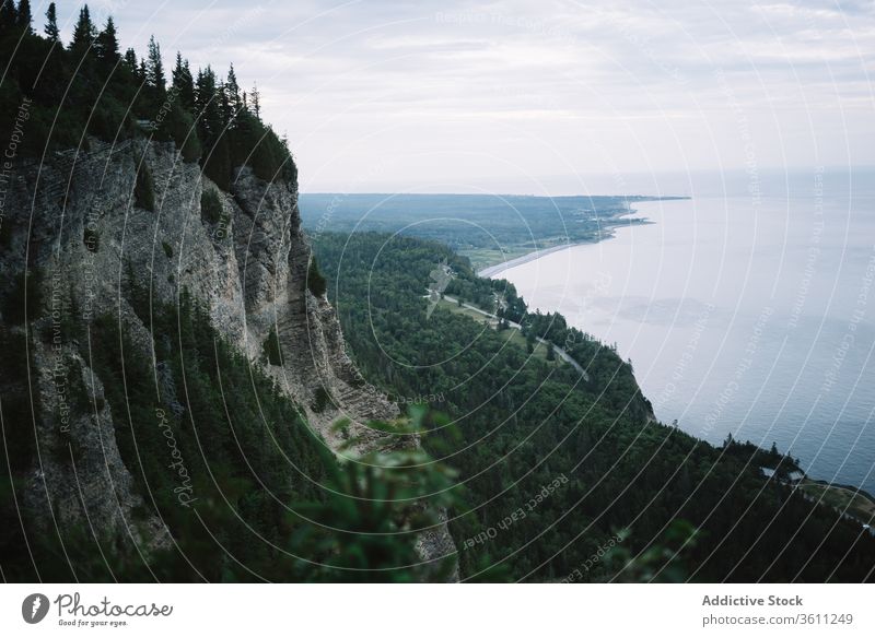 Friedliche, üppige Wälder an der Meeresküste Küste Klippe Wald malerisch Natur Berge u. Gebirge Landschaft Immergrün la mauricie national Park Quebec Kanada