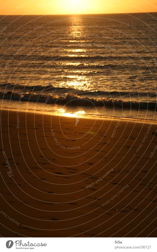 The sun rises Strand Sonnenaufgang Meer gelb Morgen