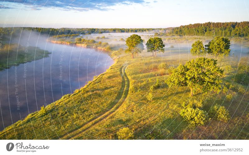 Sonnenlicht auf großen Eichenhainen am Morgen. Luftaufnahme Nebel Baum Sommer Landschaft Sonnenaufgang Morgendämmerung Antenne Natur grün Wiese Fluss Flussufer