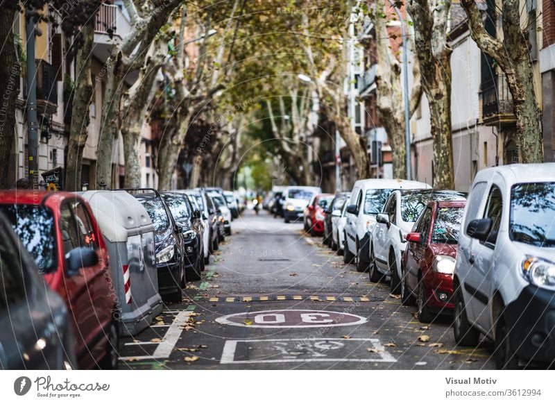 Frontansicht einer Stadtstraße mit auf beiden Seiten geparkten Autos PKW Straße Baum Gebäude modern Großstadt Revier Fahrzeug Architektur urban Verkehr