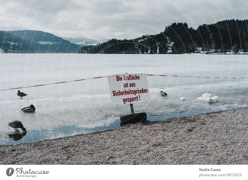 Winterlandschaft - Warnhinweise im Winter Winterlicht Winterstimmung Schnee Winterurlaub Außenaufnahme Natur Farbfoto Menschenleer Frost kalt Wintertag Klima