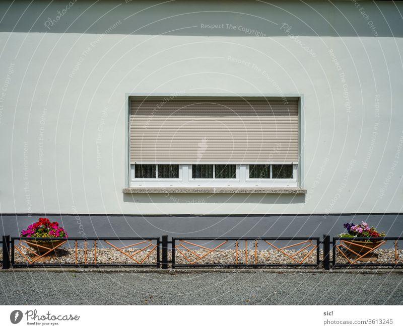 Hauswand mit zwei Blumentöpfen Blumentopf Zaun Fenster Rolladen piefig Garten Fassade Menschenleer Wand Gebäude Außenaufnahme Mauer Farbfoto Architektur trist