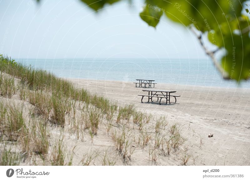 Bankenviertel Freizeit & Hobby Ferien & Urlaub & Reisen Tourismus Ausflug Sommerurlaub Strand Umwelt Natur Landschaft Pflanze Sand Himmel Baum Gras Sträucher