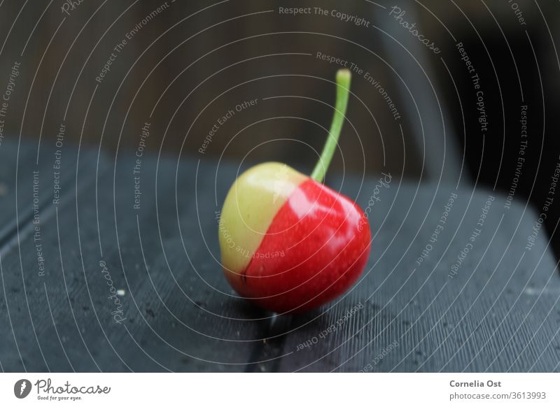 Die Farben der Natur. Kirsche zum Teil gereift,  zum Teil noch grün Frucht lecker rot Lebensmittel Farbfoto frisch Außenaufnahme Sommer Garten Ernte