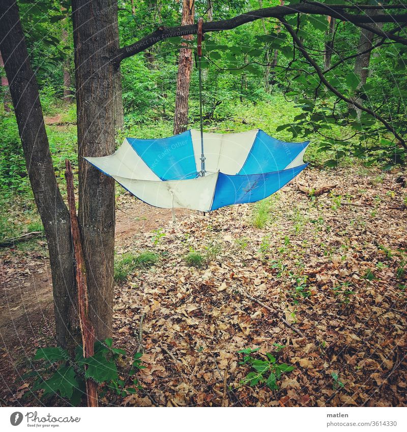 vergessen im Grunewald Wald Wälder Baum Ast Schirm aufgespannt blau weiss grün braun menschenleer Natur Sommer Farbfoto mobil