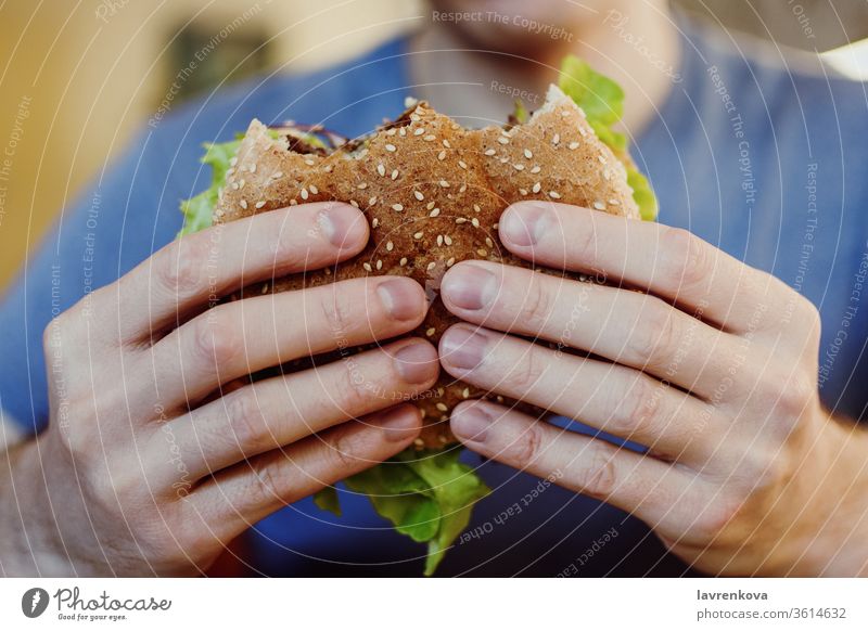 Nahaufnahme der Männerhände, die vegane Kichererbsen-Bohnen-Burger mit frischem Grün halten, selektiver Fokus Lebensmittel schnell Salat Sesam Suppengrün Person