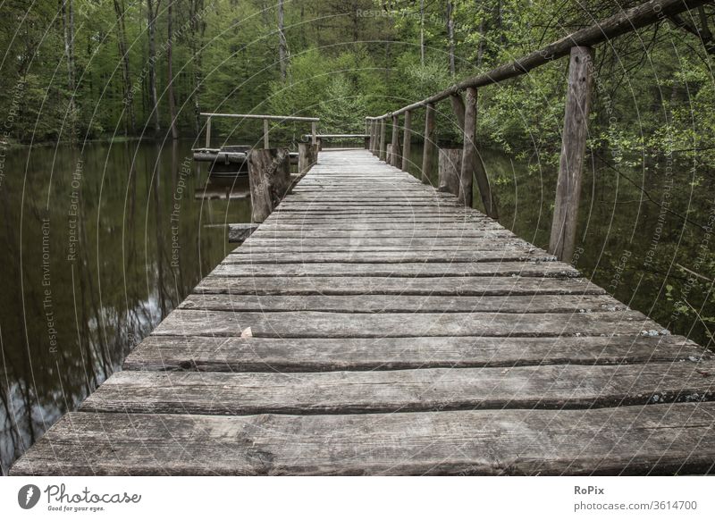 Steg an einem Fischteich im Wald. Pier Bootsanleger Mole See Gewässer Wasser Himmel Wetter Licht Biotop Stimmung Stille Ruhe Tal Natur Park Landschaft landscape