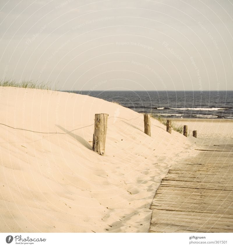 beste aussichten Umwelt Natur Landschaft Urelemente Sand Wasser Himmel Horizont Schönes Wetter Pflanze Gras Wellen Küste Strand Ostsee Meer Schwimmen & Baden