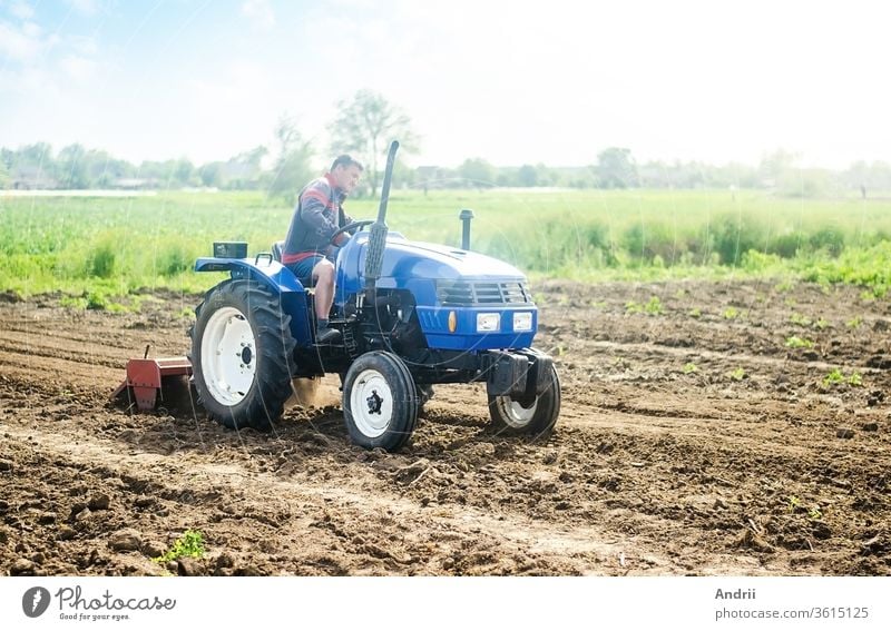 Ein Landwirt auf einem Traktor arbeitet auf dem Feld. Anbau von Feldfrüchten in einem kleinen landwirtschaftlichen Familienbetrieb. Unterstützung kleiner Unternehmen. Landwirtschaft und Ackerbau. Ausrüstung für die Anbautechnik. Lebensmittelproduktion