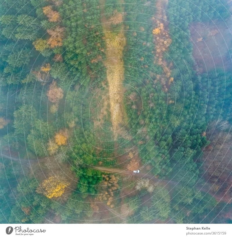 Draufsicht auf einen nebligen Wald mit einem weißen parkenden Auto an einer Landstraße. Dröhnen grün Natur Antenne Landschaft Baum Rauch natürlich strömen Nebel