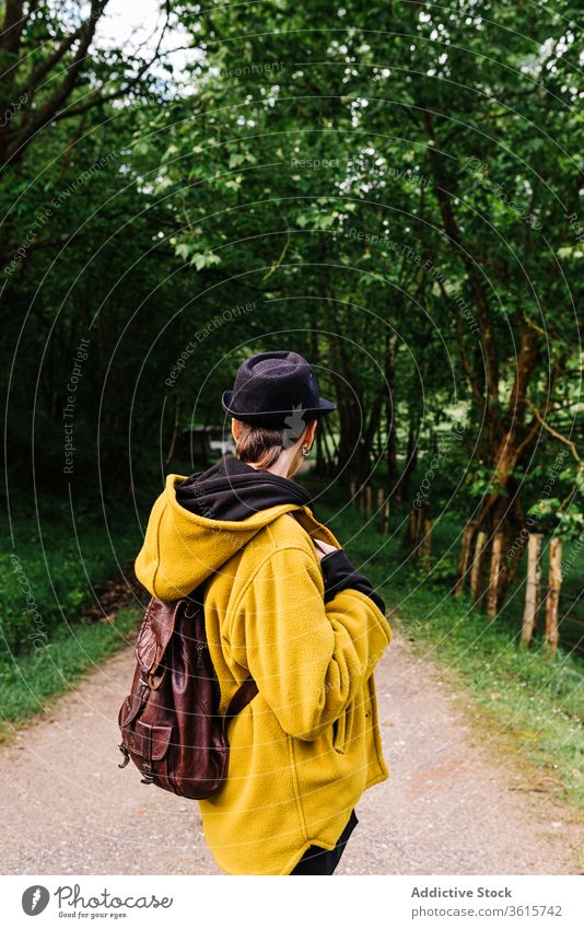 Sorglose Frau auf Waldweg Weg stehen reisen Rucksack grün Wälder sorgenfrei Asturien Spanien Reisender Baum Natur Urlaub Sommer Abenteuer Tourismus ruhig