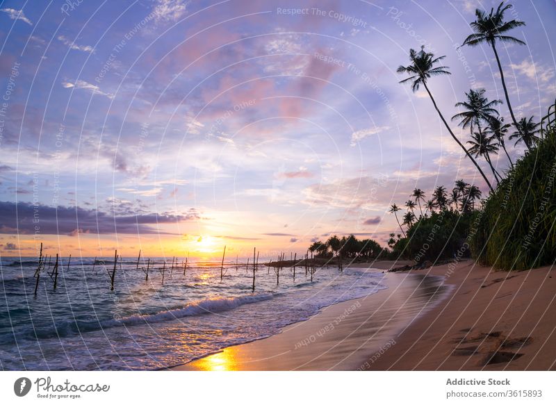 Spektakulärer Sonnenuntergang über dem Meer am tropischen Strand MEER Stelzenläufer kleben erstaunlich Landschaft Küste Handfläche Fischen Tradition spektakulär