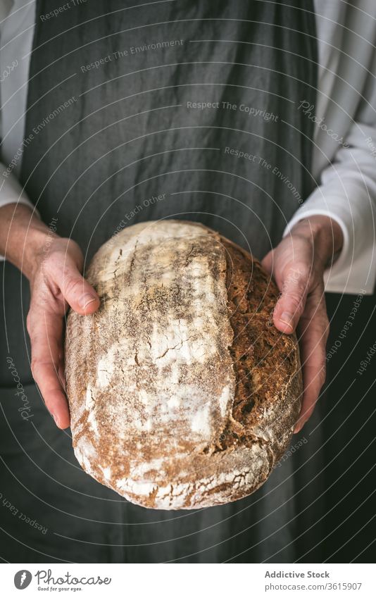 Getreidekoch mit frischem Brot Bäcker Brotlaib lecker gebacken Koch Schürze geschmackvoll Mahlzeit Bäckerei Lebensmittel Küche Feinschmecker Gebäck Tradition