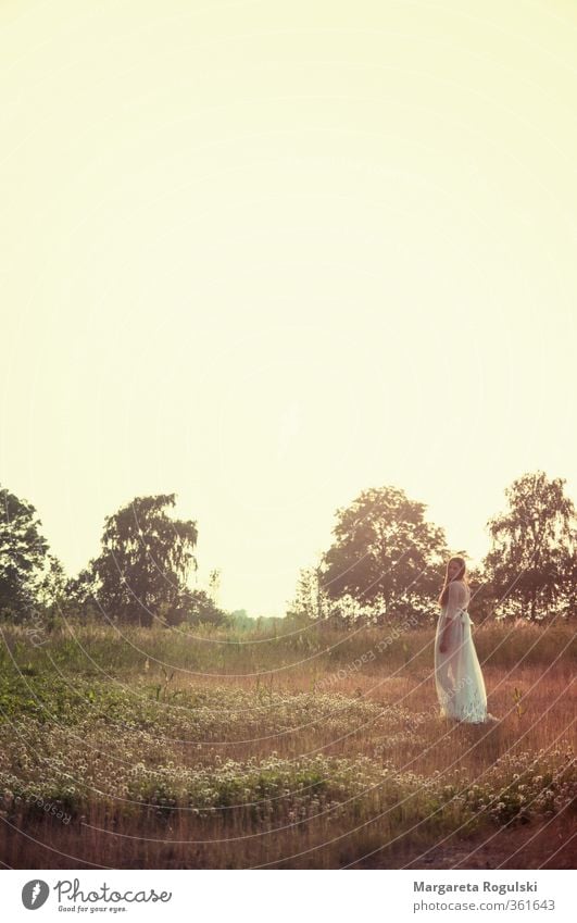 Sonnuntergang Natur Landschaft Himmel Sonnenaufgang Sonnenuntergang Sonnenlicht Sommer Herbst Gras Sträucher Wiese Feld Wald Mode Kleid stehen schön Wärme