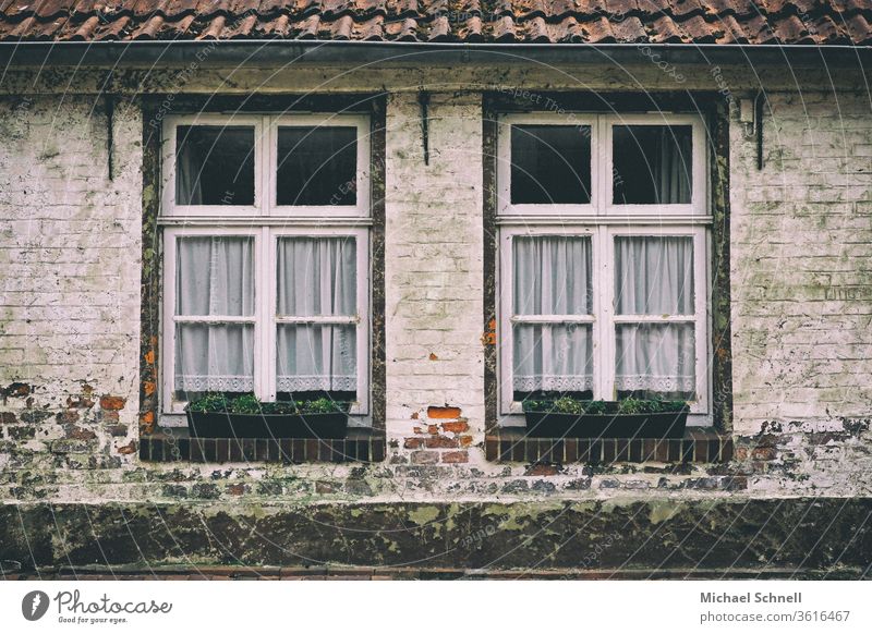 Zwei Fenster eines alten Hauses in Norddeutschland Architektur Wohnhaus Menschenleer Farbfoto Wand Bauwerk Blumenkästen Häusliches Leben Gebäude Tag