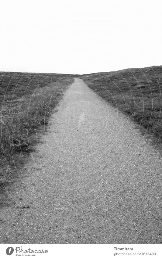 Weg und Dünen lang Sand Gras Horizont Himmel Dänemark Schwarzweißfoto Menschenleer Ferien & Urlaub & Reisen Dünengras