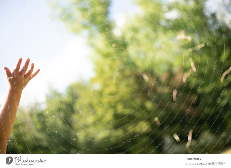 Kinderhand kind kinderhand werfen grün natur natürlich wolken sommer sonne winken frei freiheit spielen kindheit glücklich