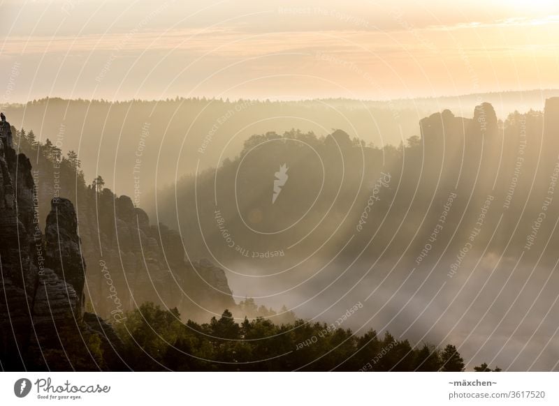 Sonnenstrahlen Sonnenaufgang Licht Schatten Silhouette Elbsandsteingebirge Sächsische Schweiz Gebirge Berge Lichtspiel Wald Nebel Morgennebel Morgendämmerung