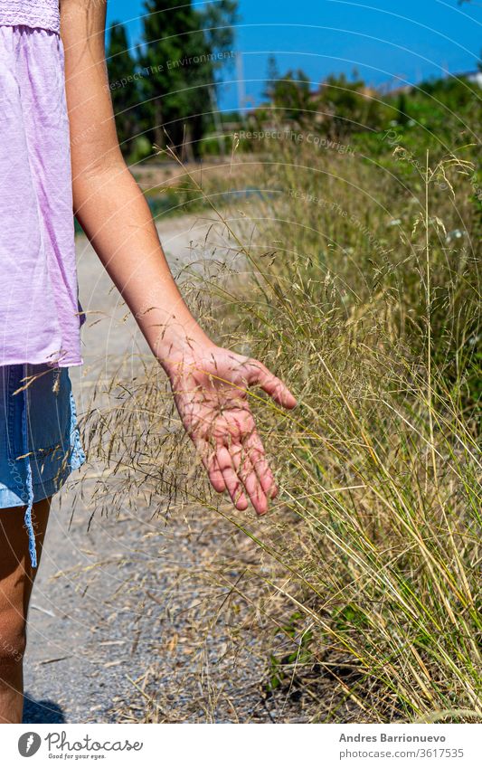 Kleine Mädchenhand streicht sanft über trockene Pflanzen auf einem Pfad inmitten der Natur Einsamkeit Gerste schön Handfläche Szene sonnig laufen Frau Idee reif