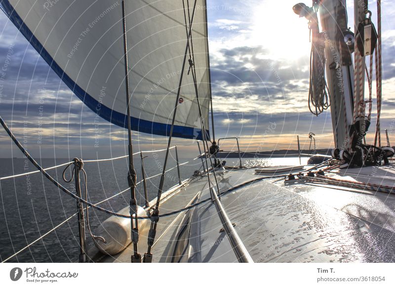 Wetter ok Segelschiff Wasserfahrzeug Meer Segelboot Segeln Schifffahrt Außenaufnahme Farbfoto Menschenleer Bootsfahrt Ferien & Urlaub & Reisen Tag Sommer Jacht