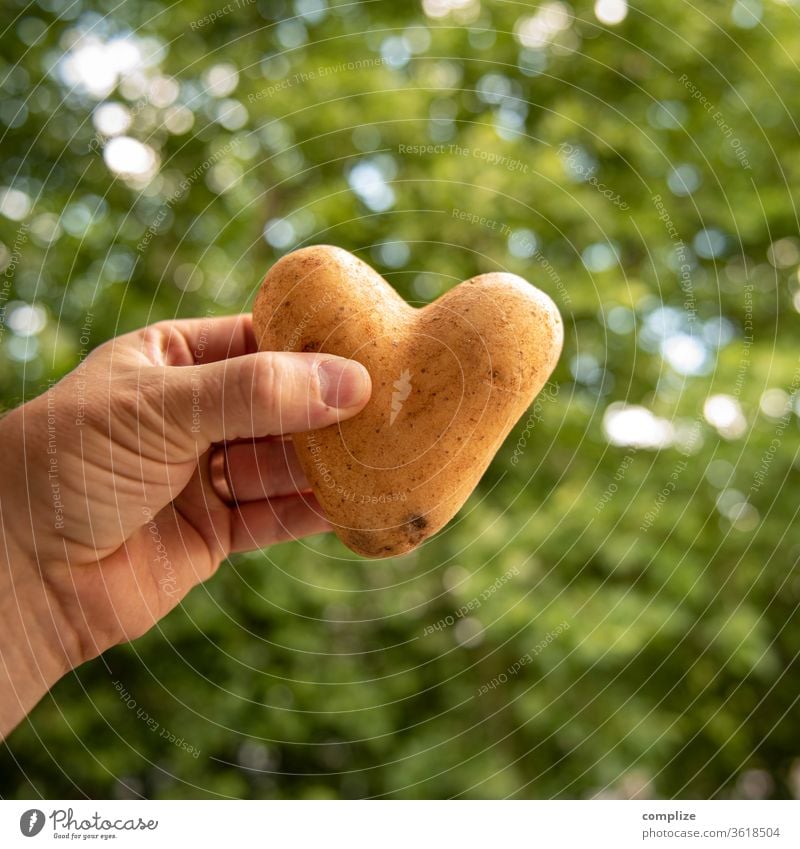 Kartoffel in herzform in der Hand Kartoffelsalat Liebeskummer Valentinstag mögen kochen herzförmig Verliebt Essen Vegane Ernährung Vegetarische Ernährung Diät