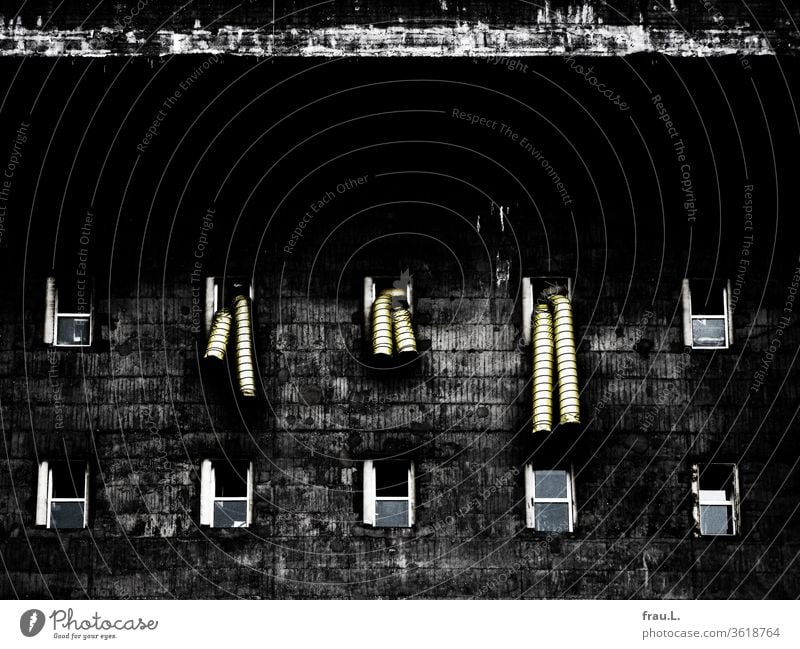 Weshalb da plötzlich Drinageschläuche aus seinen Fenstern hingen, wusste der Flakbunker nicht, aber seit 1945 redete ja auch niemand mehr mit ihm. Bunker Beton