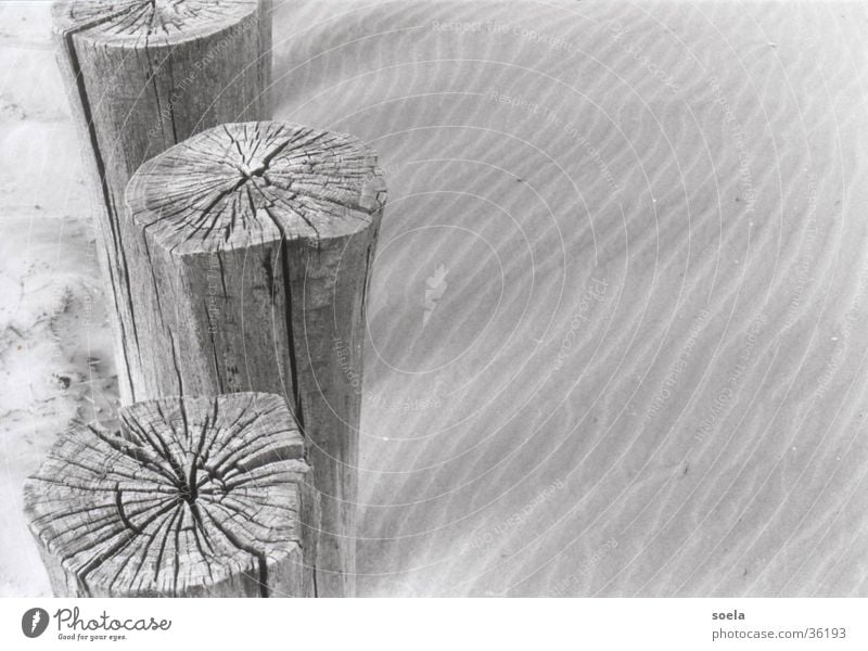 Ameland Holz Silhouette Nordsee Spuren Sand Schatten