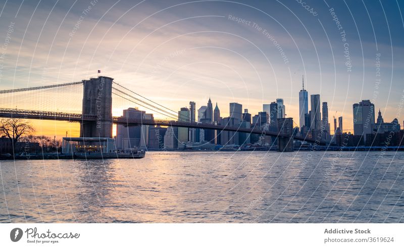 Modernes Stadtbild mit Brücke über den Fluss New York State Skyline Großstadt Wolkenkratzer Gebäude Brooklyn modern Architektur urban Revier Stadtzentrum