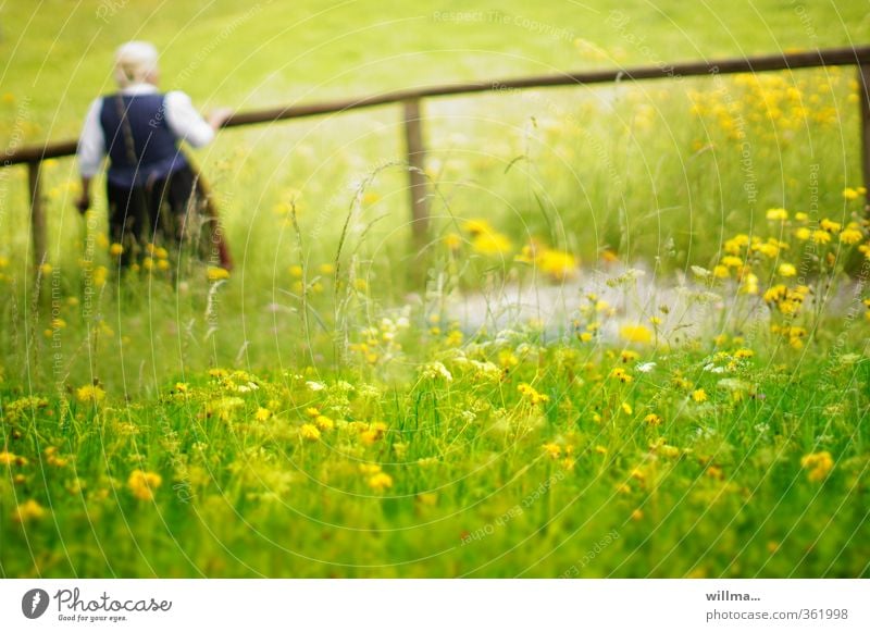 Lebensabend. Innehalten. Seniorin in Tracht. Besinnung in der Natur Alm Großmutter alte Frau innehalten Blumenwiese Wiese Sommer Landschaft Schönes Wetter