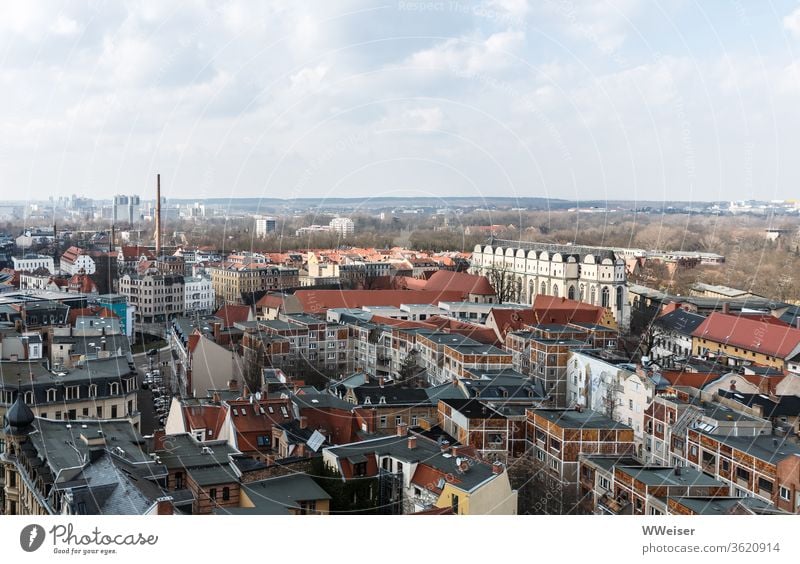 Halle an der Saale von oben Stadt Panorama Kirche Dom Dom zu Halle Halle Neustadt Schornstein Aussicht Ausblick Altstadt Zentrum Sachsen-Anhalt Großstadt