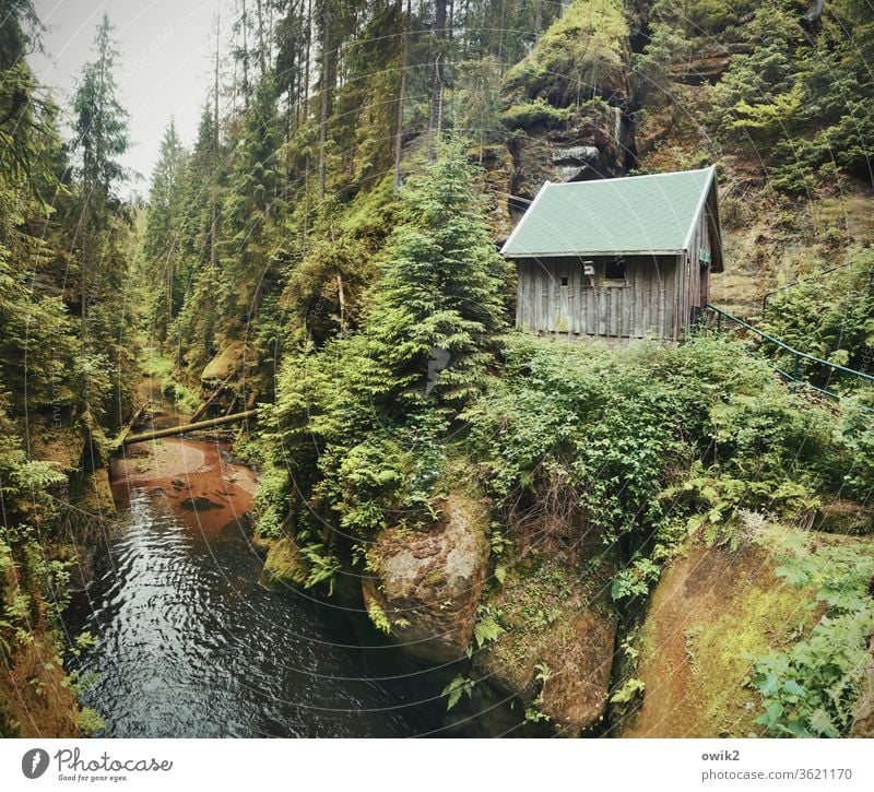 Kirnitzschtal Elbsandsteingebirge Sachsen Ostdeutschland Wald Bach Flusslauf Hütte Schlucht Natur Landschaft Berge u. Gebirge Felsen Außenaufnahme wandern