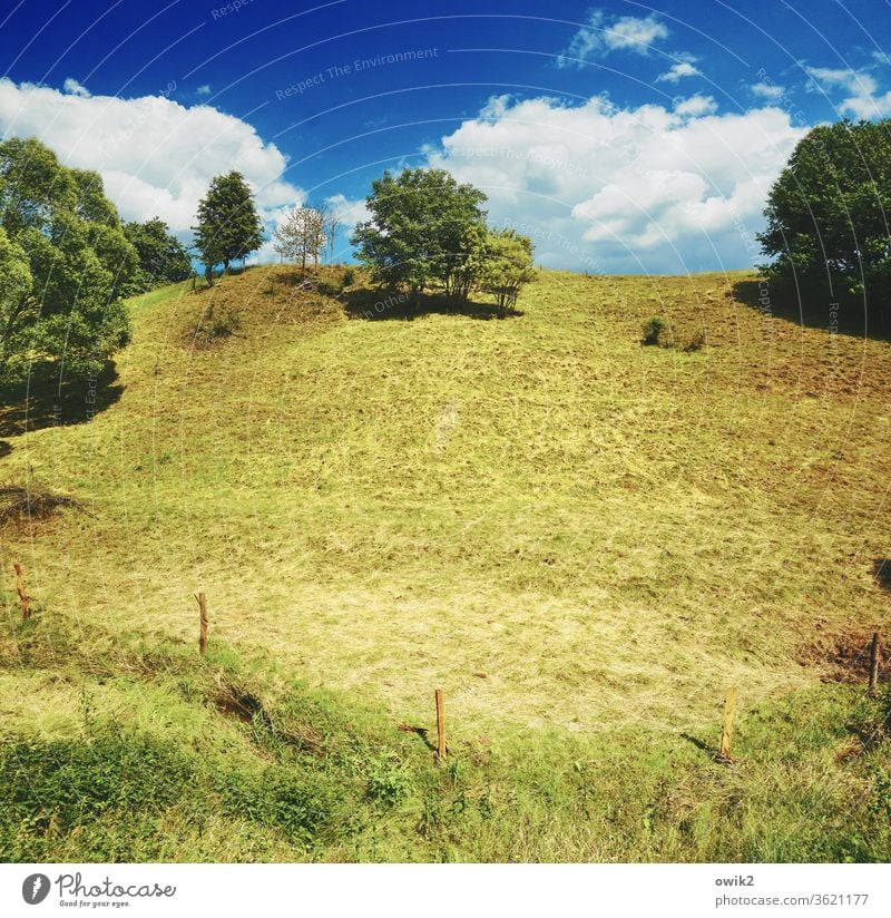 Abhängig Umwelt Natur Landschaft Horizont Baum Gras Wiese Deutschland Berghang Hügel Farbfoto Außenaufnahme Menschenleer Textfreiraum links Textfreiraum oben