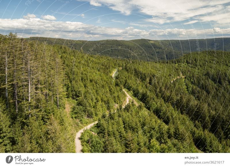 Aussicht auf den Schwarzwald und einen Wanderweg Deutschland Baden-Württemberg Wald Berge u. Gebirge Nationalpark Horizont Nadelwald Tannen Ausflug Urlaub