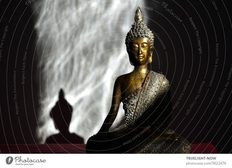 Gold und türkis farbene Buddha Statue im Lotos Sitz zwischen Schatten werfendem Sonnenlicht und Schatten drumherum Buddha-Statue Buddhismus Meditation Weisheit