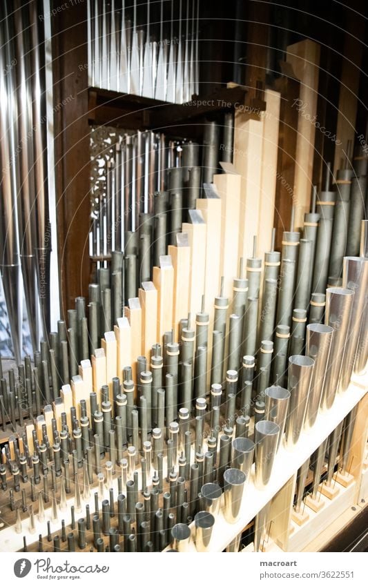 Orgel von innen manual pedal register pfeifen holz porzelan alt restauriert dom kirche kirchenmusik spielen keyboard tasten tastatur braun instrument