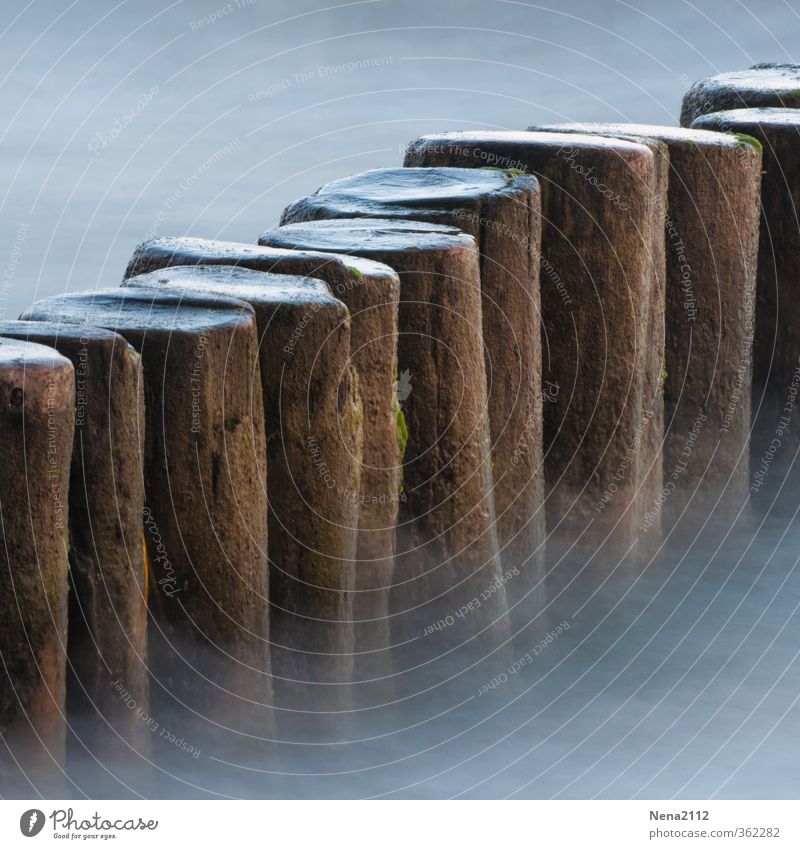 Wellenbrecher Umwelt Natur Urelemente Wasser Wassertropfen Seeufer Nordsee Ostsee Meer fantastisch natürlich rund Sehnsucht Heimweh Fernweh Buhne Nebel