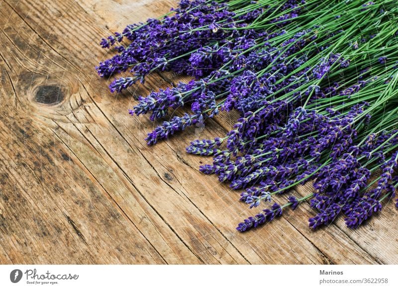 Bündel von Levandern levander natürlich Blume Pflanze Blumenstrauß purpur Kraut Haufen Hintergrund schön Natur hölzern blau Farbe Lavendel Sommer geblümt Garten