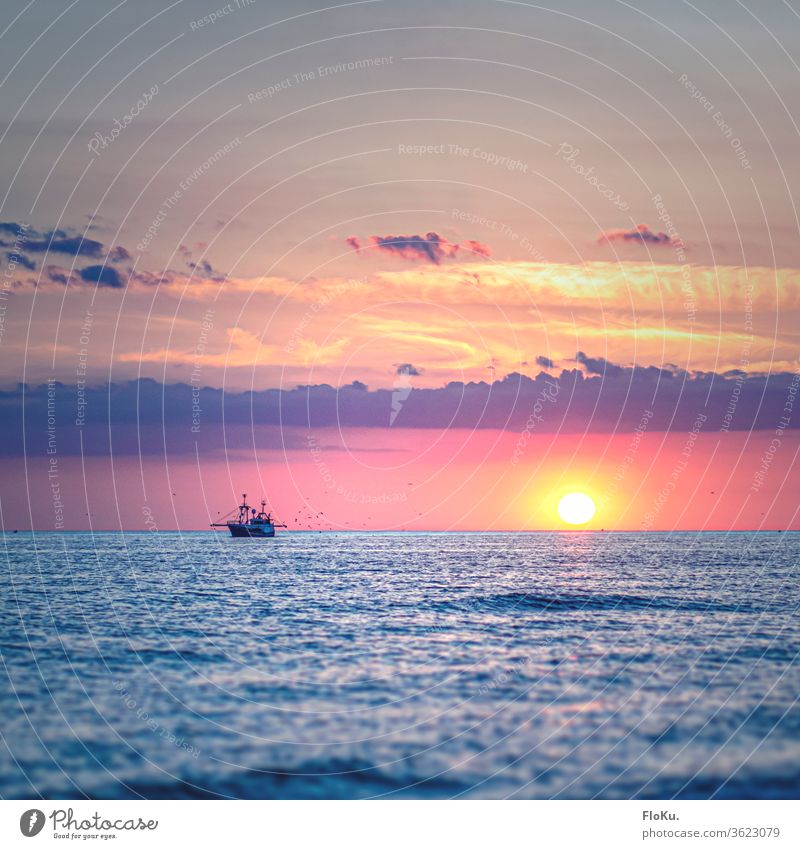 Fischkutter auf der Nordsee hat die Möwen im Schlepptau Sonnenuntergang Meer Strand Wasser Himmel Wellen Küste Wolken Dämmerung Sommer Sonnenlicht