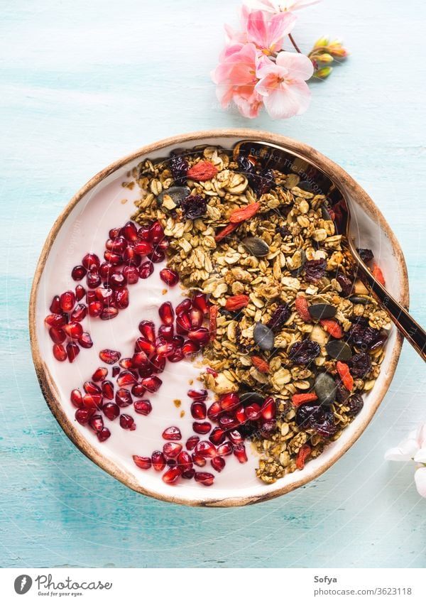 Gesunde Joghurtschale mit Müsli und Granatapfel Schalen & Schüsseln Gesundheit Beeren Frucht Entzug selbstgemacht essen Top Ansicht Herbst fallen Frühling Blume