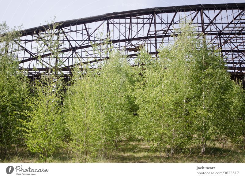 rostiger verfallener Hangar mit viel frischem Grün davor lost places Natur Laubbaum kaputt Vergänglichkeit alt Verfall Architektur Ruine Zahn der Zeit