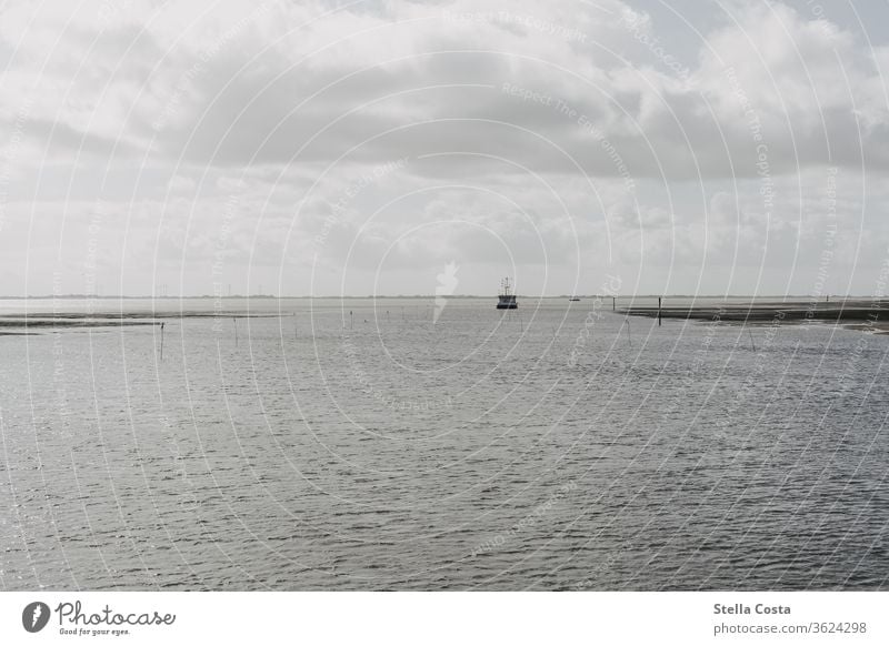 Schiff in weiter Entfernung das durchs Wattenmeer fährt. Schiffstour transport Umwelt Tag Strand Wolken dunkle Wolken dunkle Stimmung düster wolkenbehangen