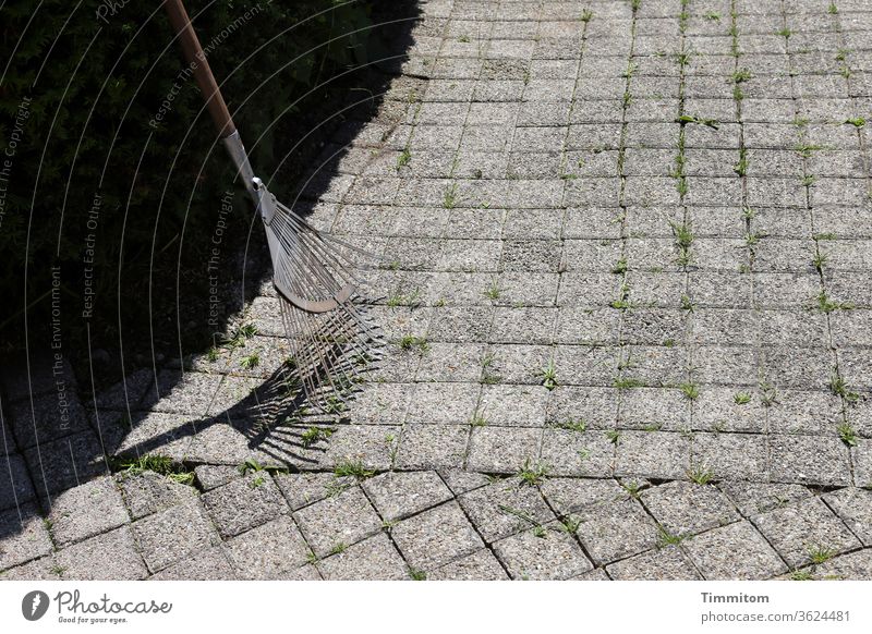 Der Rechen sinnt so für sich hin Gartengeräte Metall Holz Schatten Steine Pflastersteine Linien Gras Gartenarbeit Außenaufnahme Harke grün