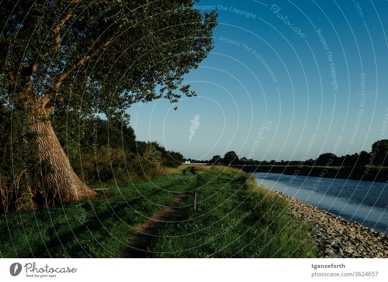 An der Ems bei Herbrum Emsland Landkreis Emsland Weg Außenaufnahme Fluss Ferien & Urlaub & Reisen ländlich schön Landschaft Wege & Pfade Pappel Baum Tourismus