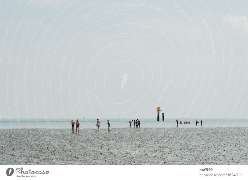 Wattwanderung - Menschen im Meer Wattwandern Nordsee Nordseeinsel Wattenmeer Ebbe ebbe und flut Gezeiten Wasser Strand Küste Sand Ferien & Urlaub & Reisen