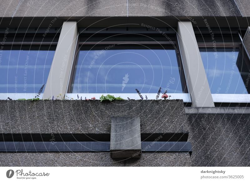 Beton Architektur mit Fenster und Blumen in einem Kasten Blumenkasten Brutalismus Fassade renovieren sanieren Symmetrie symmetrische graue farbige