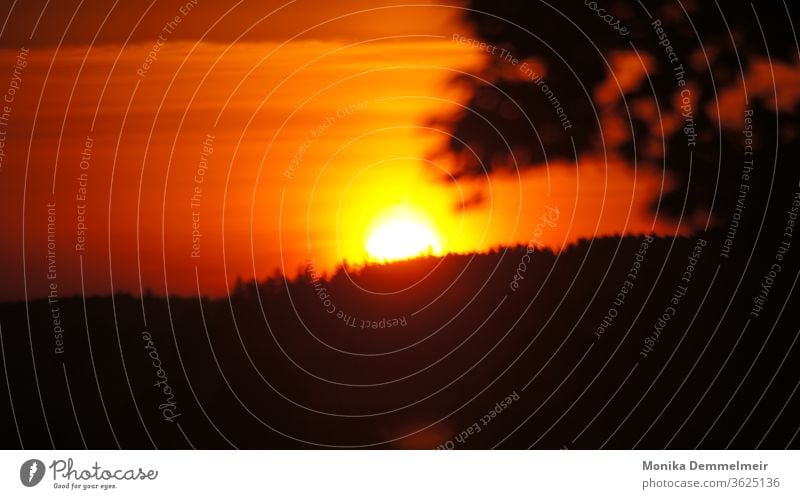 Sonnenaufgang Sonnenaufgang - Morgendämmerung Himmel Baum Landschaft Außenaufnahme Licht Natur Sonnenlicht Farbfoto Umwelt Schönes Wetter Lichterscheinung