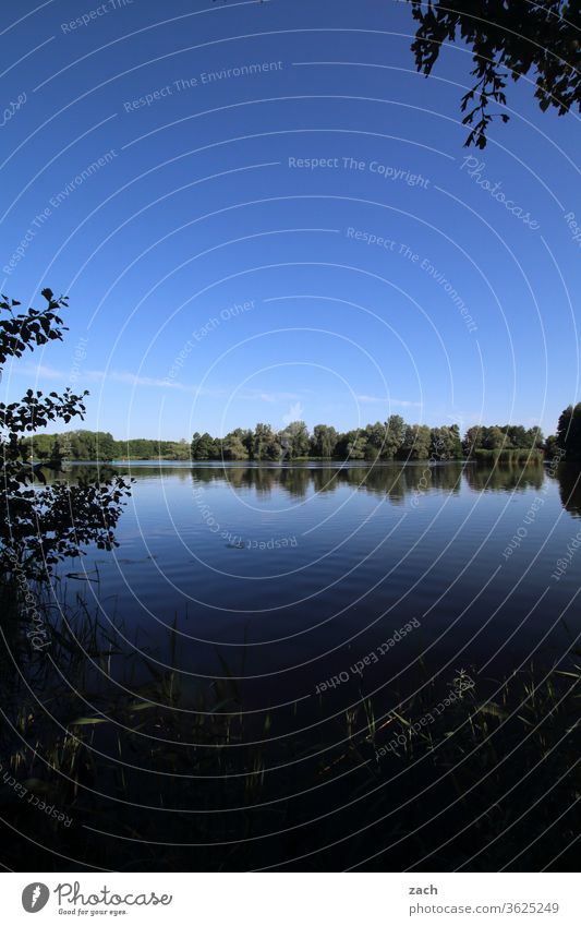 7 Tage durch Brandenburg - ins Blaue Feld Ackerbau Landwirtschaft Gerste Gerstenfeld Getreide Getreidefeld Weizen Weizenfeld gelb blau Himmel Blauer Himmel