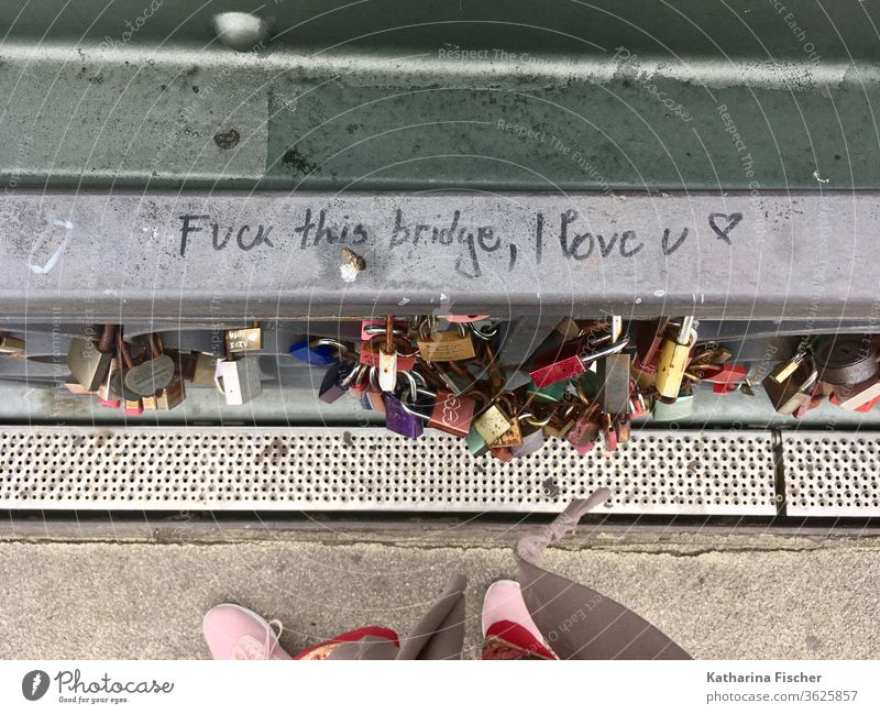 Eiserner Steg, Brücke, Frankfurt am Main Stadt Fußgängerbrücke Wahrzeichen Schriftzug Graffiti Vogelperspektive Liebesschloss Vorhängeschloss Vorhängeschlösser