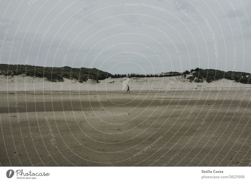 Einzelne Person beim Spaziergang im Watt mit einer Dünen Landschaft im Hintergrund Nordsee Ferien & Urlaub & Reisen Außenaufnahme Küste Erholung Farbfoto Strand