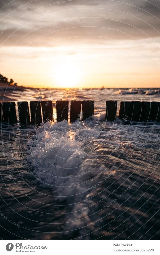 #A# Ostsee-Buhnen zum Sonnenuntergang Sonnenaufgang Buhnen in der See Natur Ostseeinsel ostseebad Urlaubsort Erholung Küste Urlaubsstimmung Idylle Meer